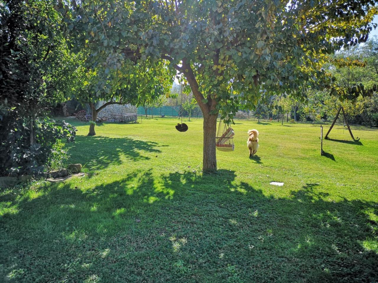 River Melody Bettona Exterior foto